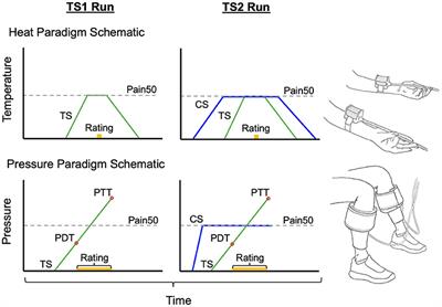 Frontiers | The Potential Clinical Utility Of Pressure-Based Vs. Heat ...